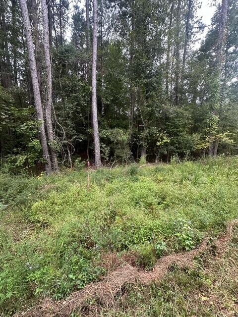 3337 Steed Creek Road Huger, SC 29450 - Photo 6 of 8 Steed Creek 7