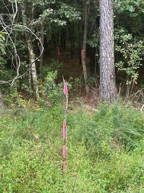 3337 Steed Creek Road Huger, SC 29450 - Photo 7 of 8 Steed Creek 6