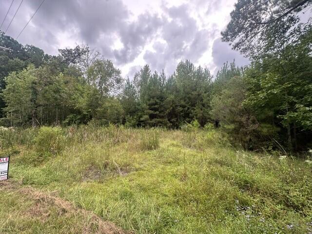 3337 Steed Creek Road Huger, SC 29450 - Photo 8 of 8 Steed Creek 5