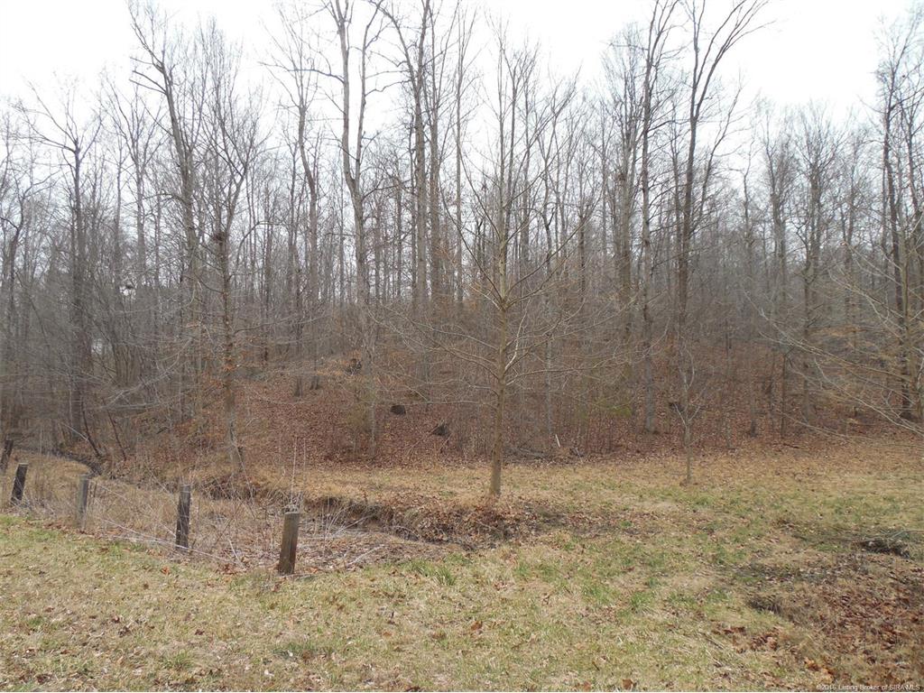 0 Duffy Road Georgetown, IN 47122 - Photo 1 of 4