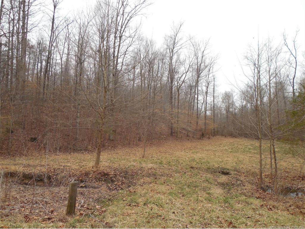 0 Duffy Road Georgetown, IN 47122 - Photo 3 of 4