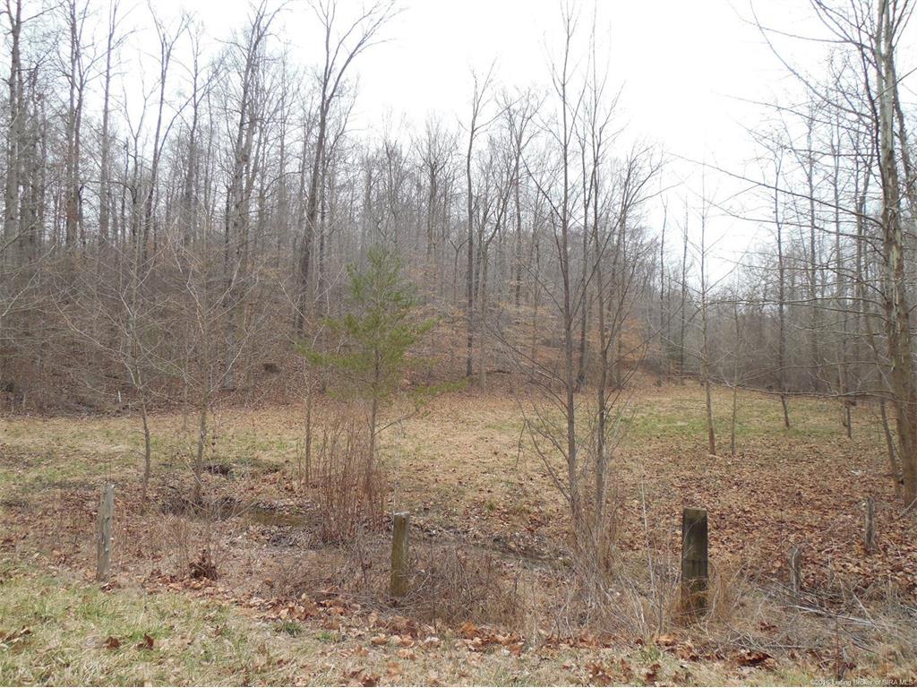 0 Duffy Road Georgetown, IN 47122 - Photo 4 of 4