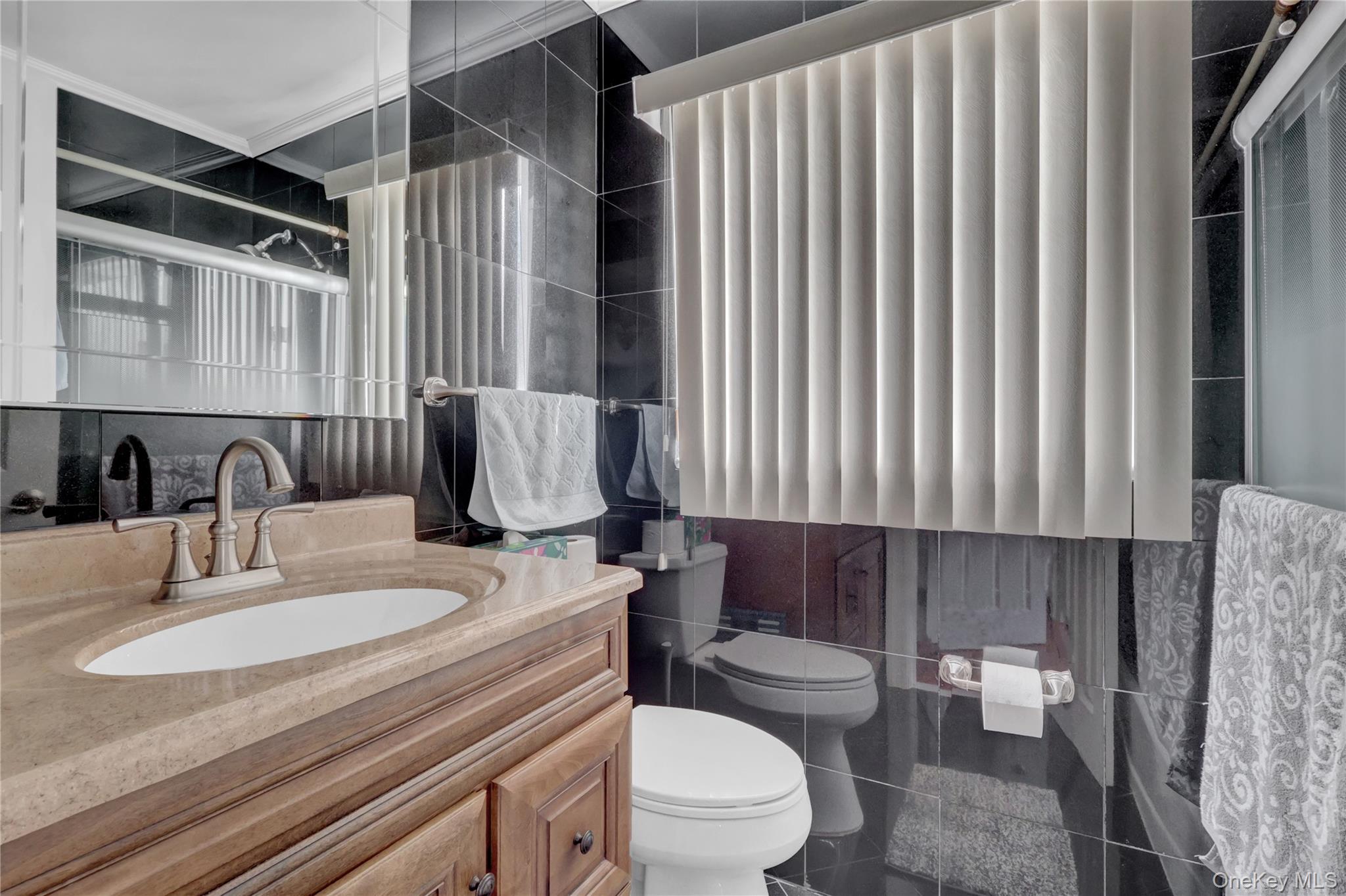 2 Riverview Terrace Smithtown, NY 11787 - Photo 40 of 48 a bathroom with a granite countertop sink and a toilet