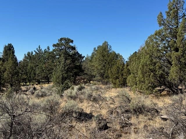 8815 Solomon Road Montague, CA 96064 - Photo 13 of 22 Gallery Image 13