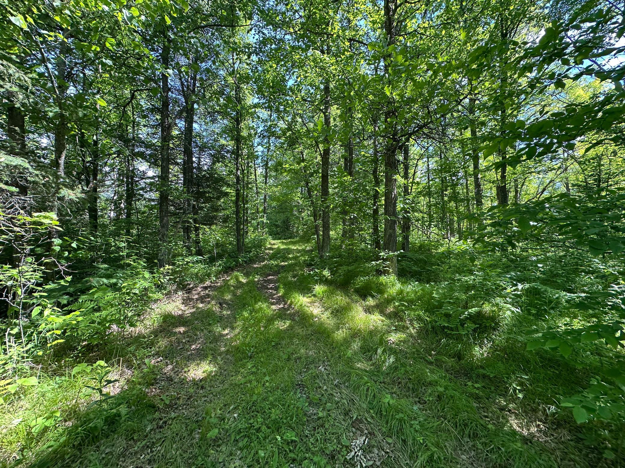 Tbd Oak Leaf Road Kerrick, MN 55756 - Photo 4 of 19