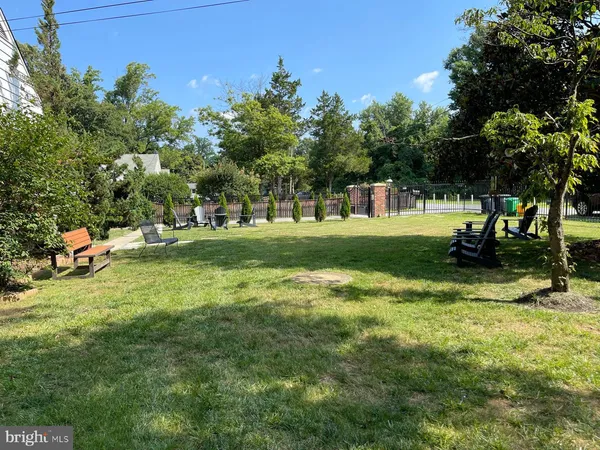 a view of a park with large trees