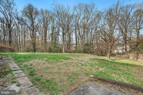 a view of a field with trees in the background
