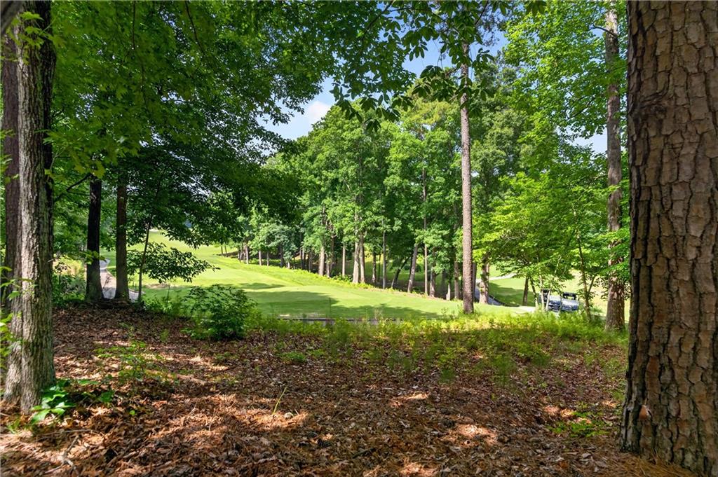 4571 Oglethorpe Loop Acworth, GA 30101 - Photo 87 of 100