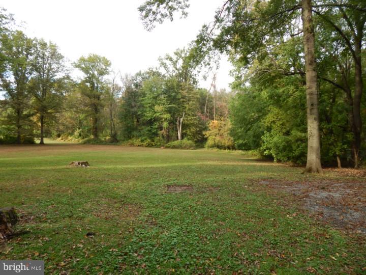 3140 Pennypack Road Hatboro, PA 19040 - Photo 4 of 11 Side Yard