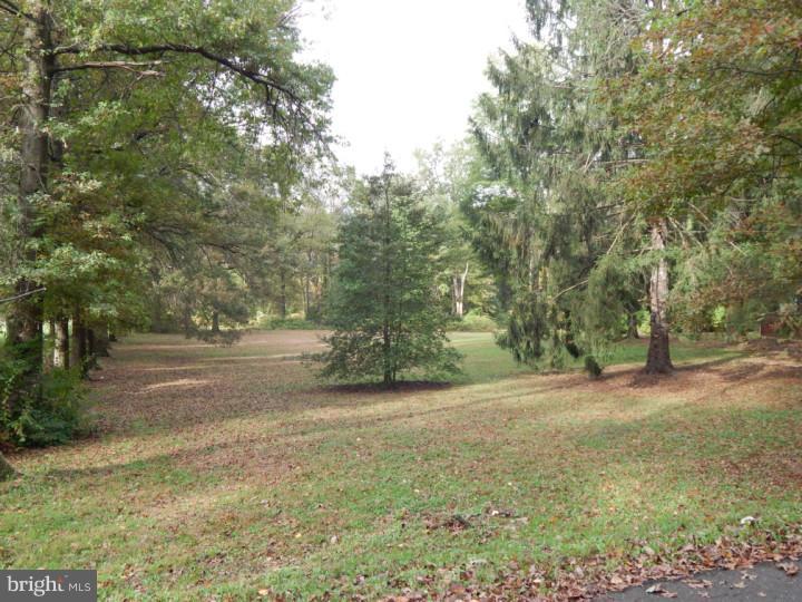3140 Pennypack Road Hatboro, PA 19040 - Photo 5 of 11 Back Yard