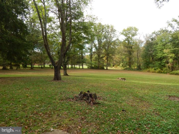 3140 Pennypack Road Hatboro, PA 19040 - Photo 6 of 11 Back Yard