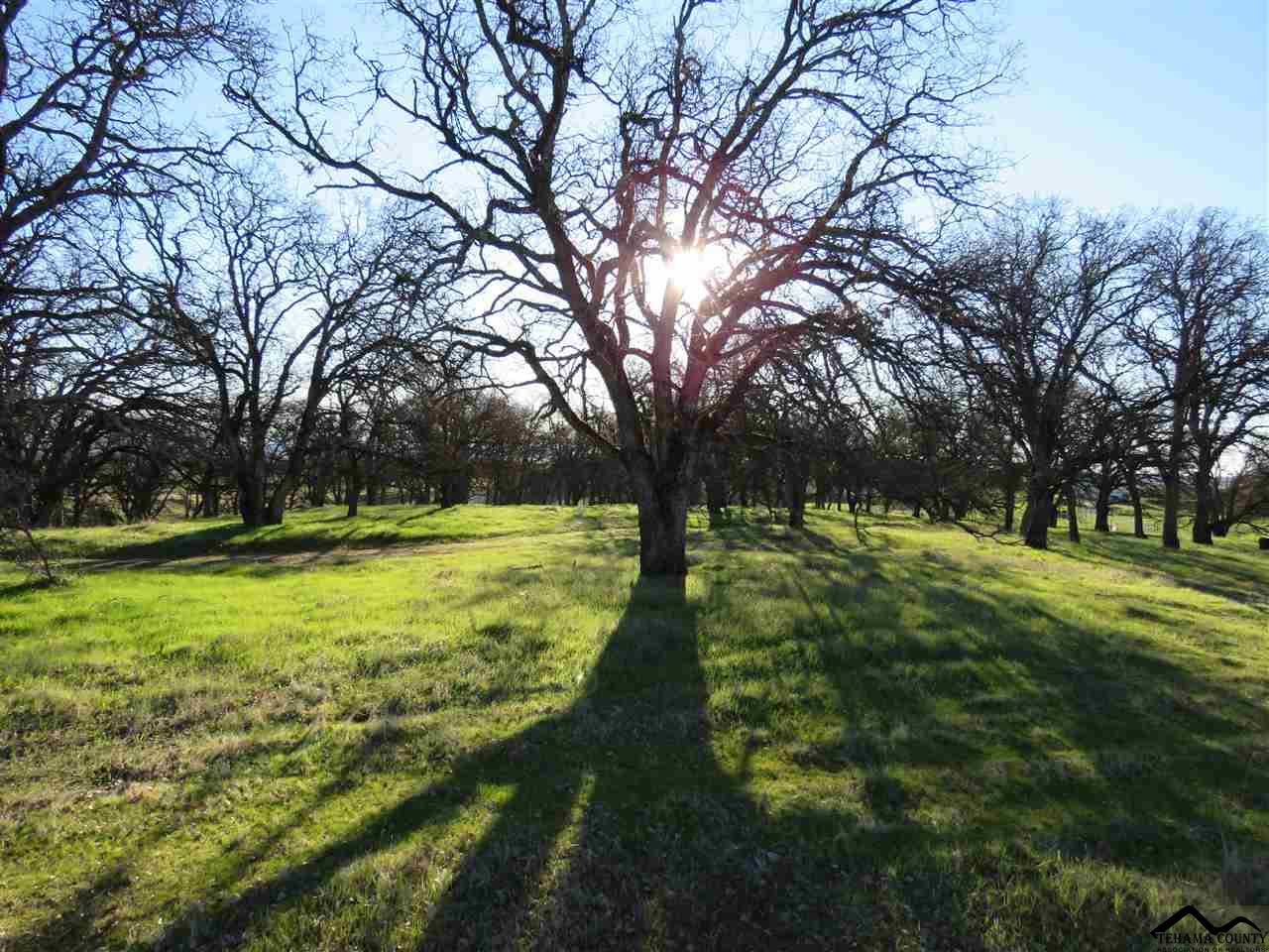 Xx Deer Valley Road Red Bluff, CA 96080 - Photo 1 of 6