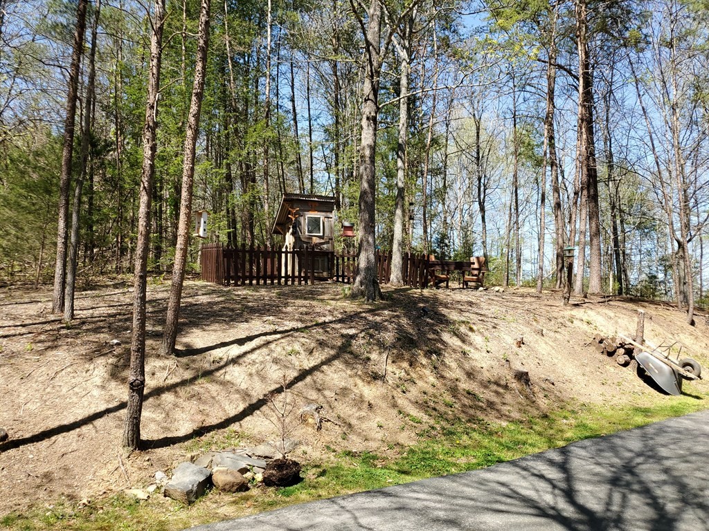 2104 Matt Road Sevierville, TN 37876 - Photo 17 of 18