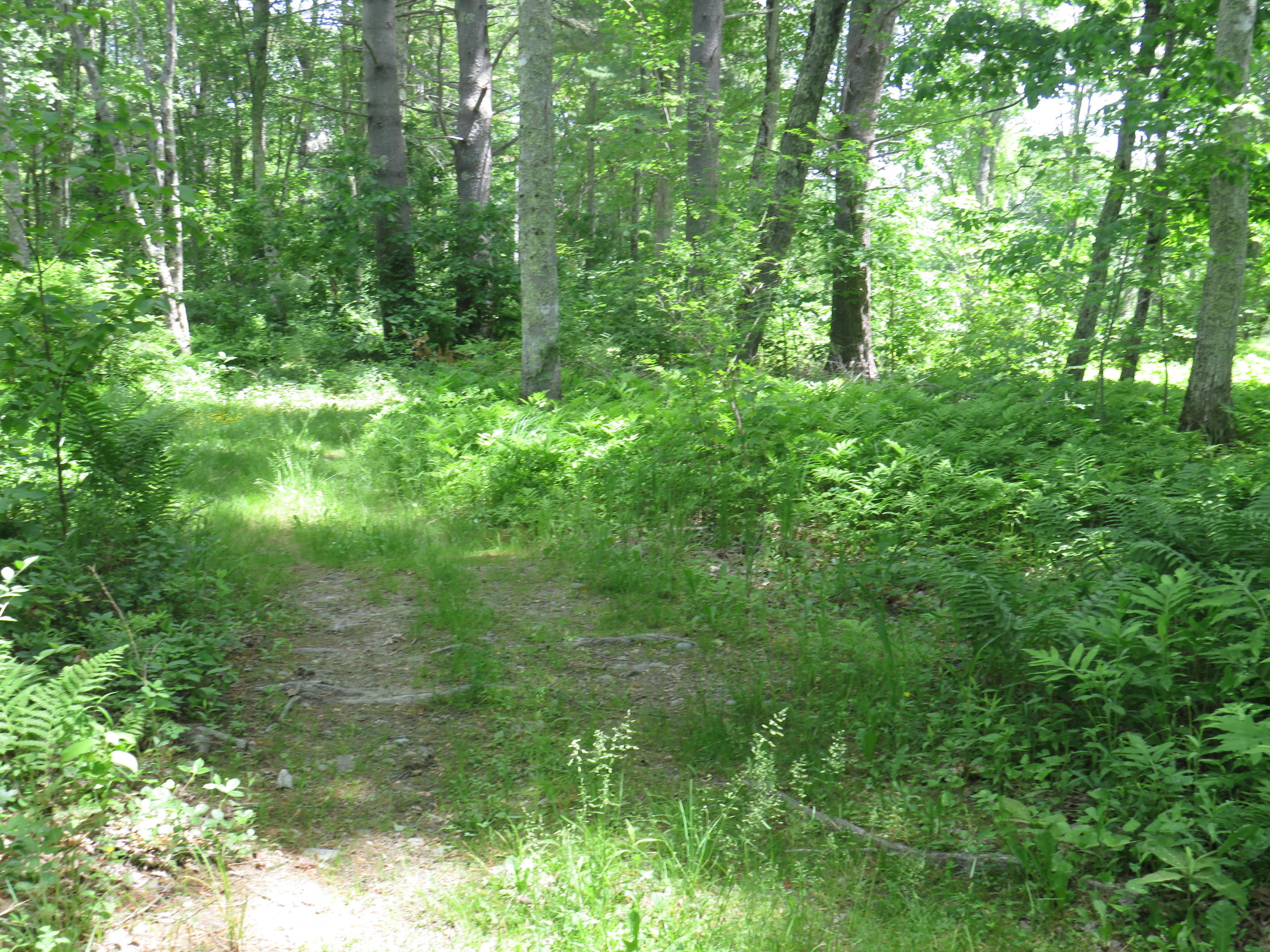 1257 North North Pond Road Warren, ME 04864 - Photo 15 of 57 IMG_1195