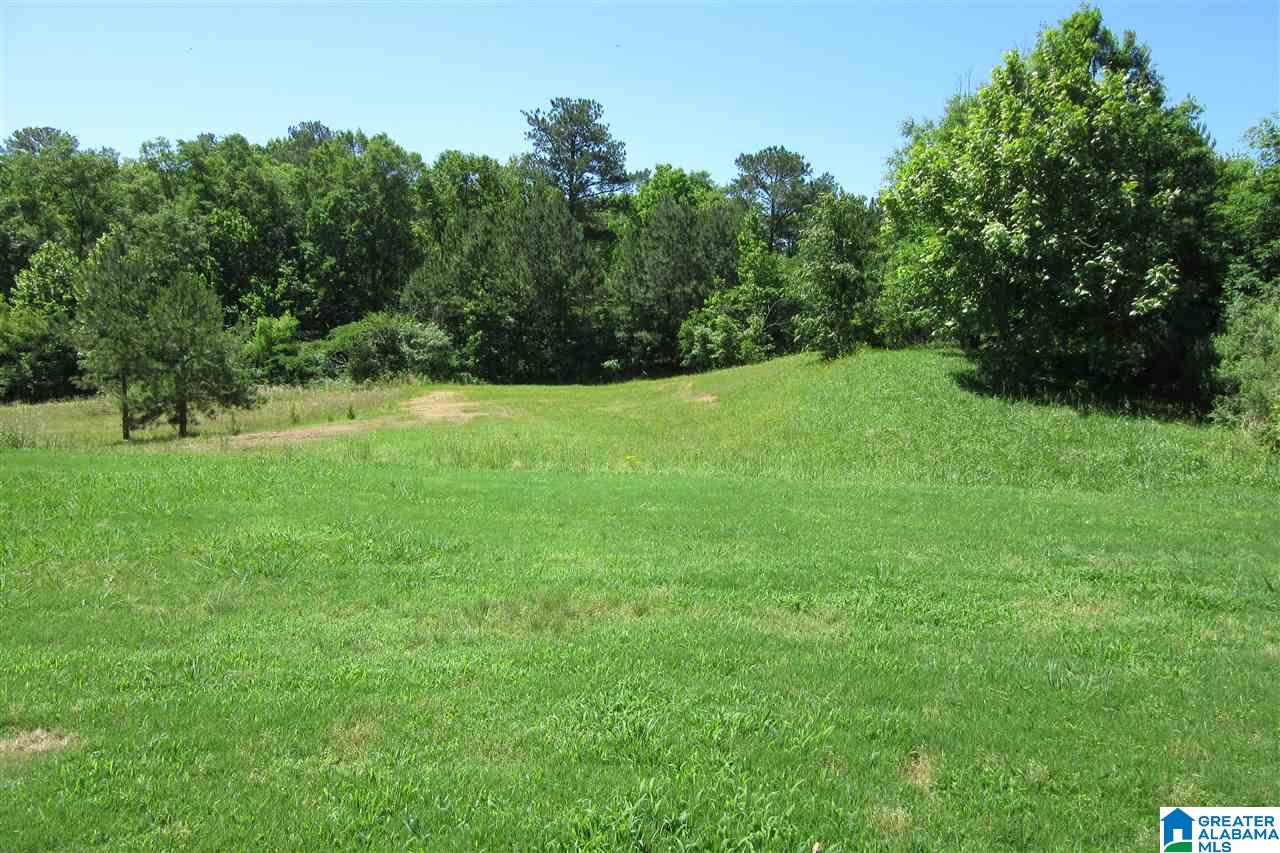 143 Renwick Lane Calera, AL 35040 - Photo 40 of 50