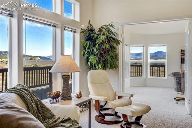 688 Tiara Road Lake George, CO 80827 - Photo 7 of 46 Enjoy this beautiful home