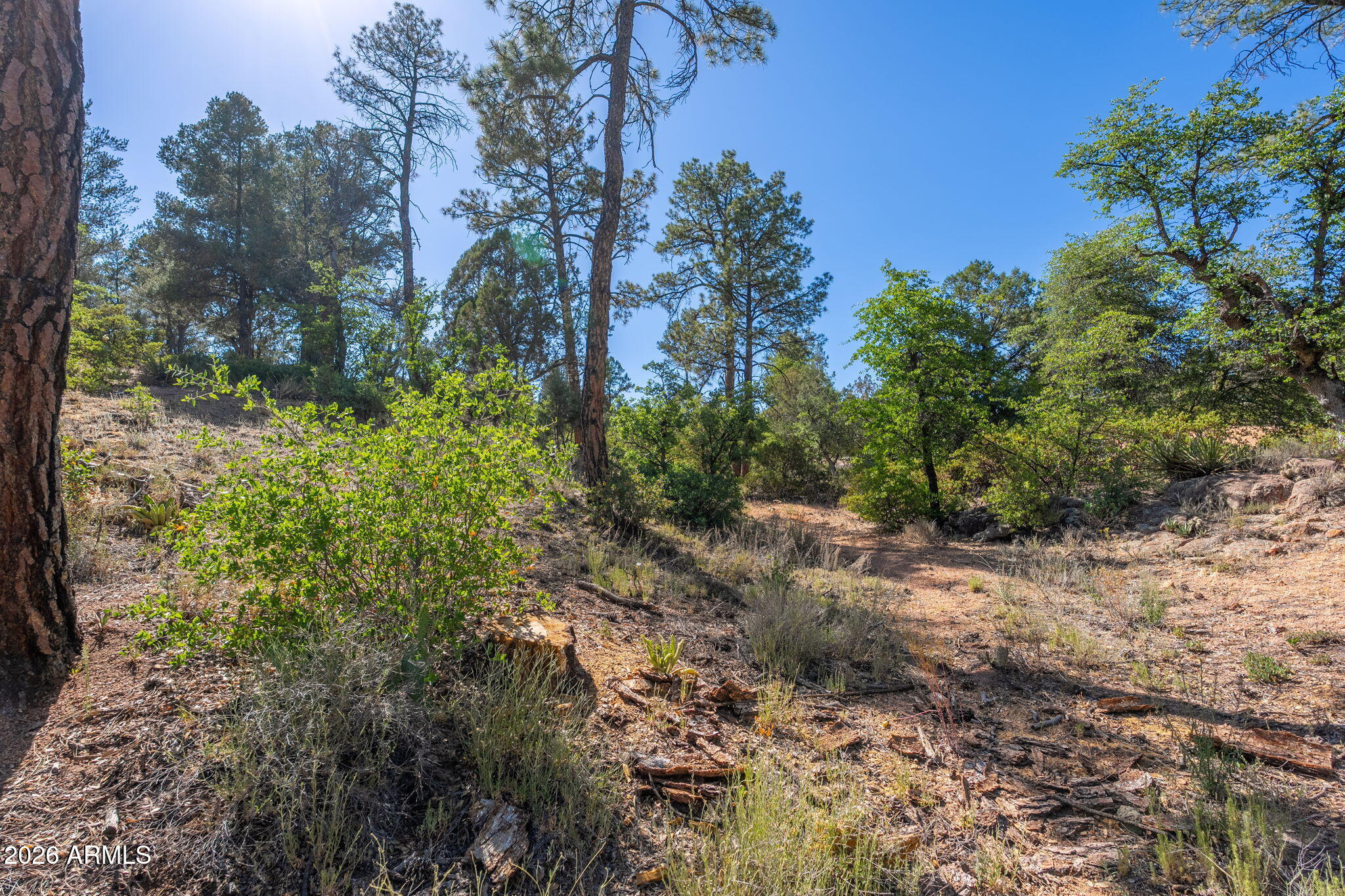 506 South Primeval, Unit 79 Payson, AZ 85541 - Photo 47 of 48 506 S Primeval - 45