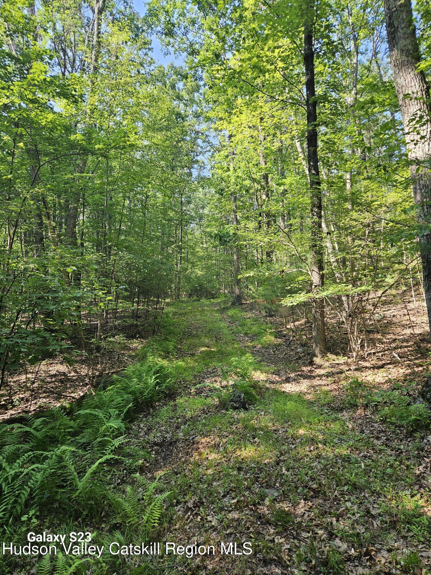 0 Hearts Content Road Catskill, NY 12414 - Photo 5 of 21 20260711_163730