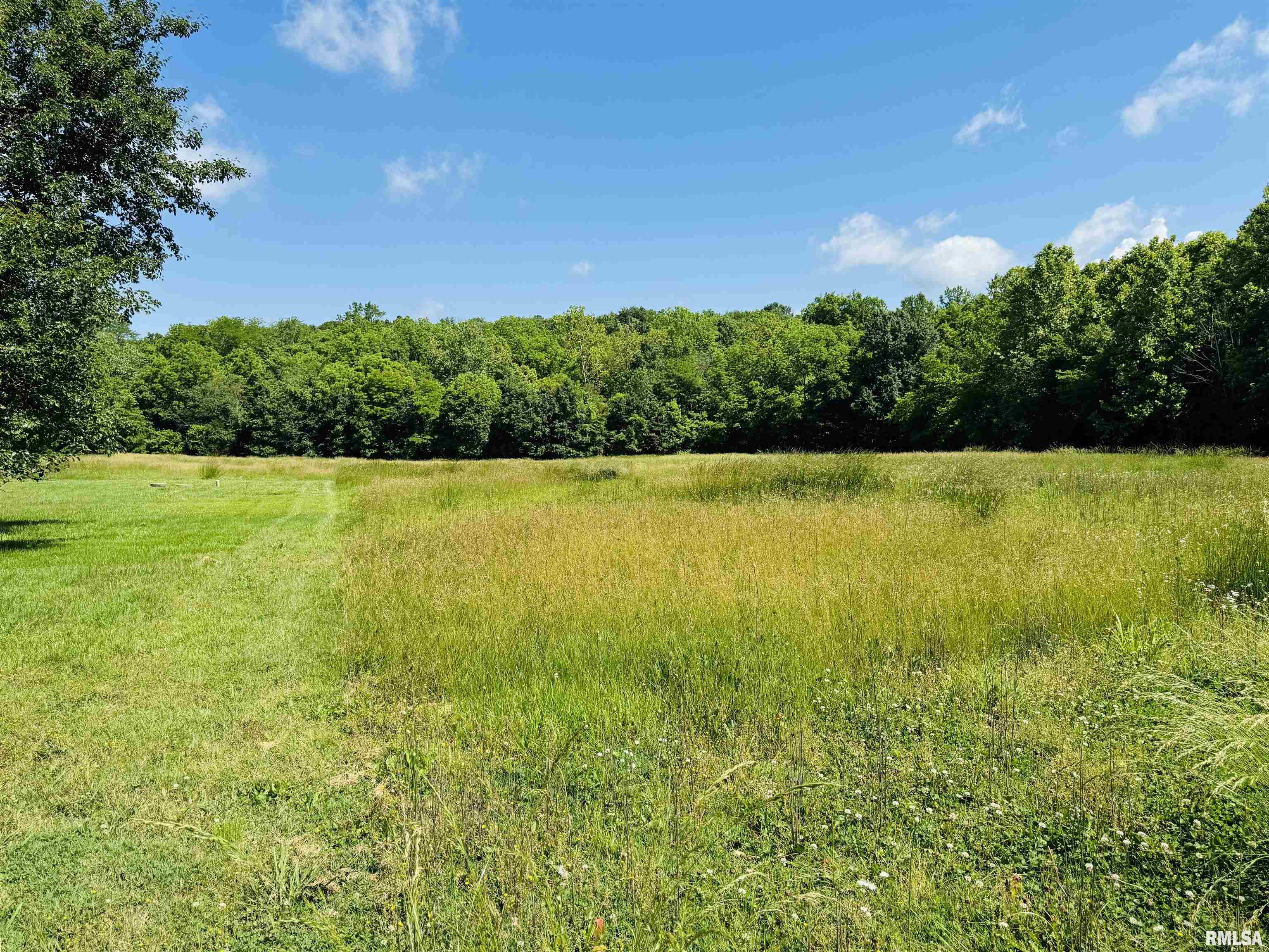 3685 Lick Creek Road Anna, IL 62906 - Photo 12 of 33 Gallery Image 12
