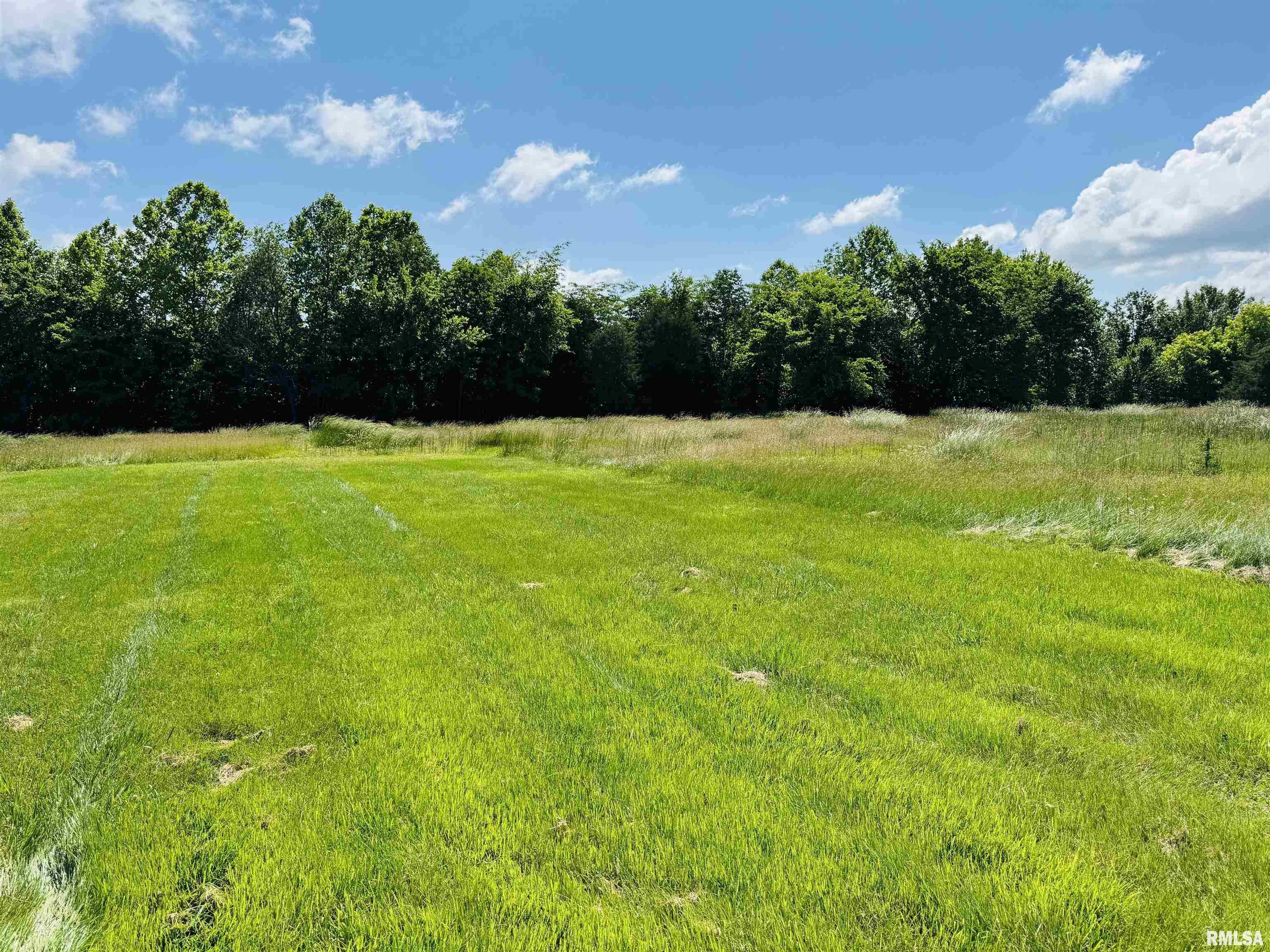 3685 Lick Creek Road Anna, IL 62906 - Photo 14 of 33 Gallery Image 14