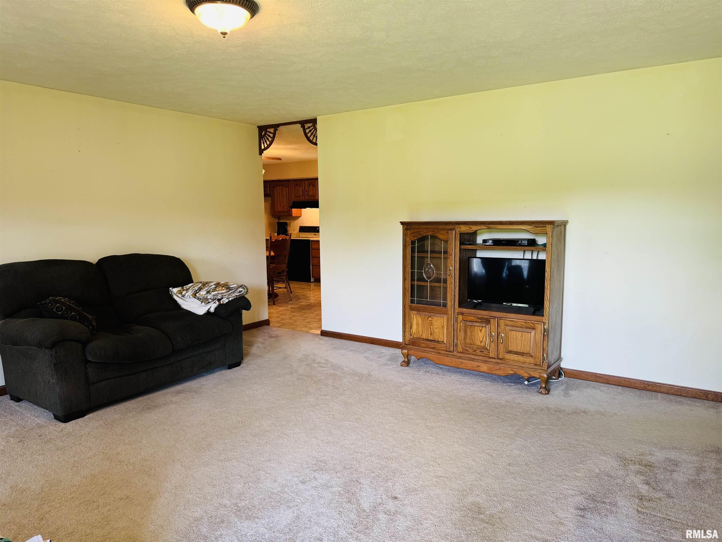 3685 Lick Creek Road Anna, IL 62906 - Photo 17 of 33 Gallery Image 17