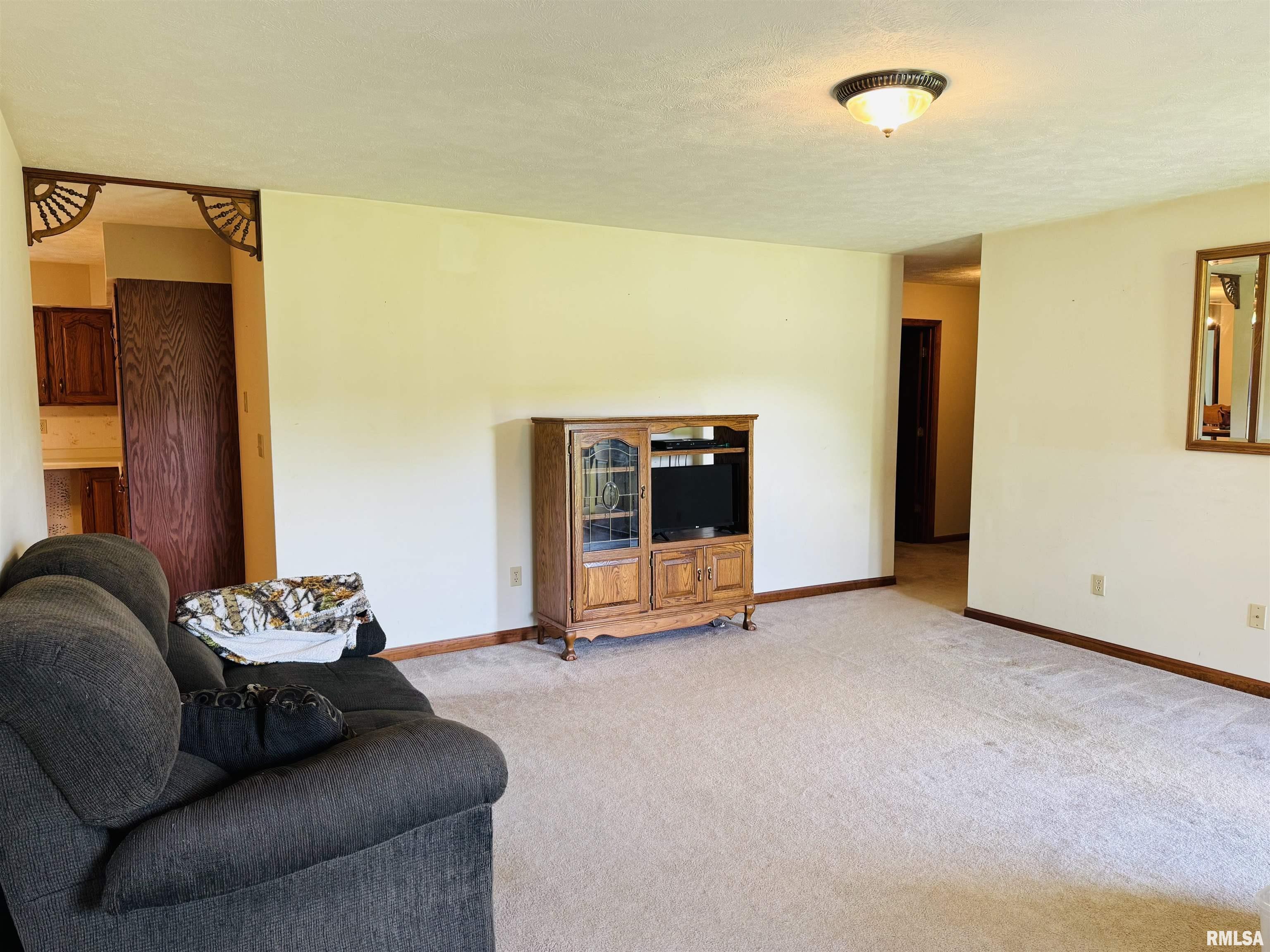 3685 Lick Creek Road Anna, IL 62906 - Photo 18 of 33 Gallery Image 18