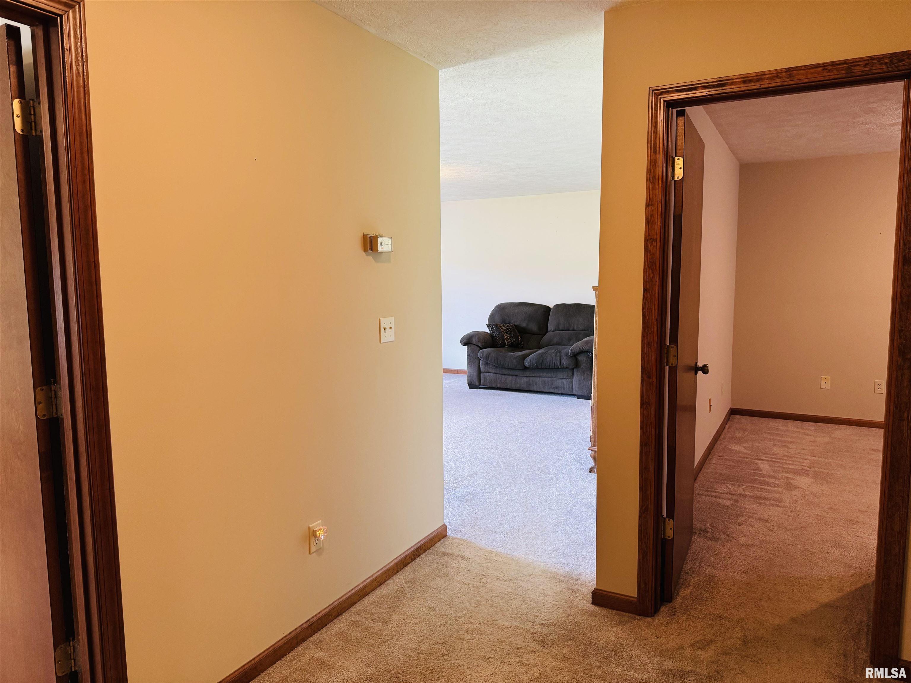 3685 Lick Creek Road Anna, IL 62906 - Photo 24 of 33 Gallery Image 24