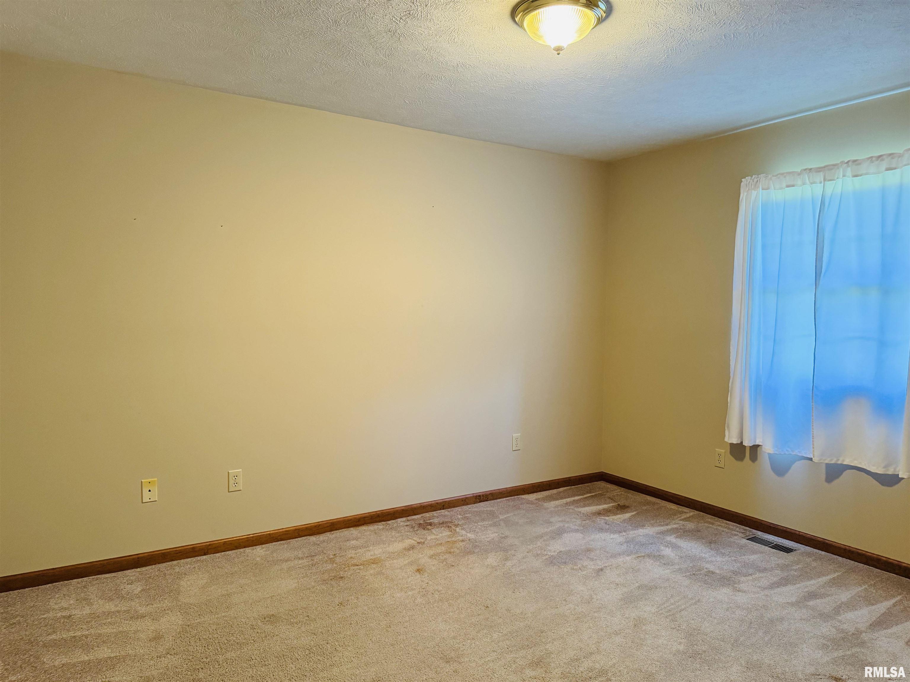 3685 Lick Creek Road Anna, IL 62906 - Photo 30 of 33 Gallery Image 30