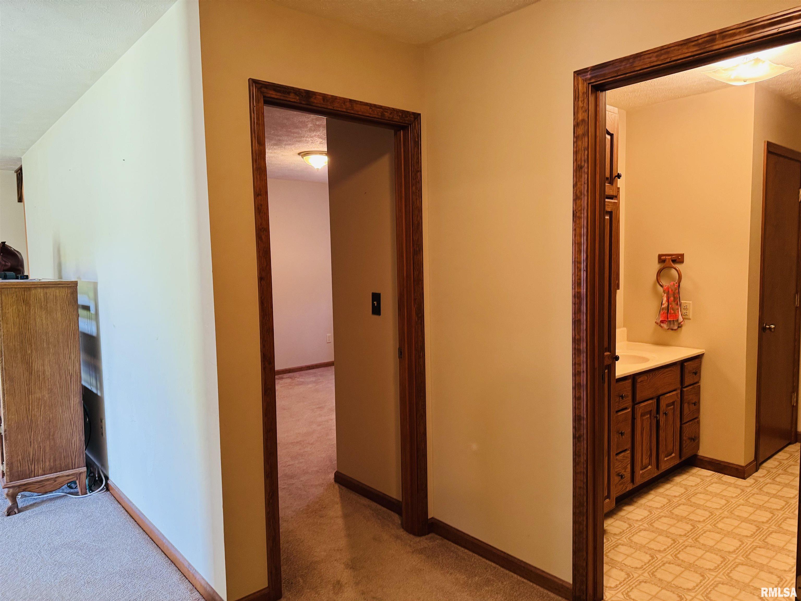 3685 Lick Creek Road Anna, IL 62906 - Photo 31 of 33 Gallery Image 31