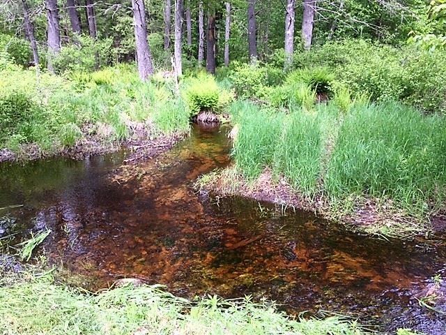 9 Old Coffeetown Road Deerfield, NH 03037 - Photo 6 of 28 Gallery Image 6