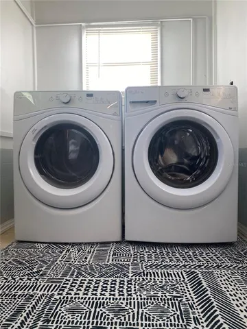 a close up of a plant in a garden