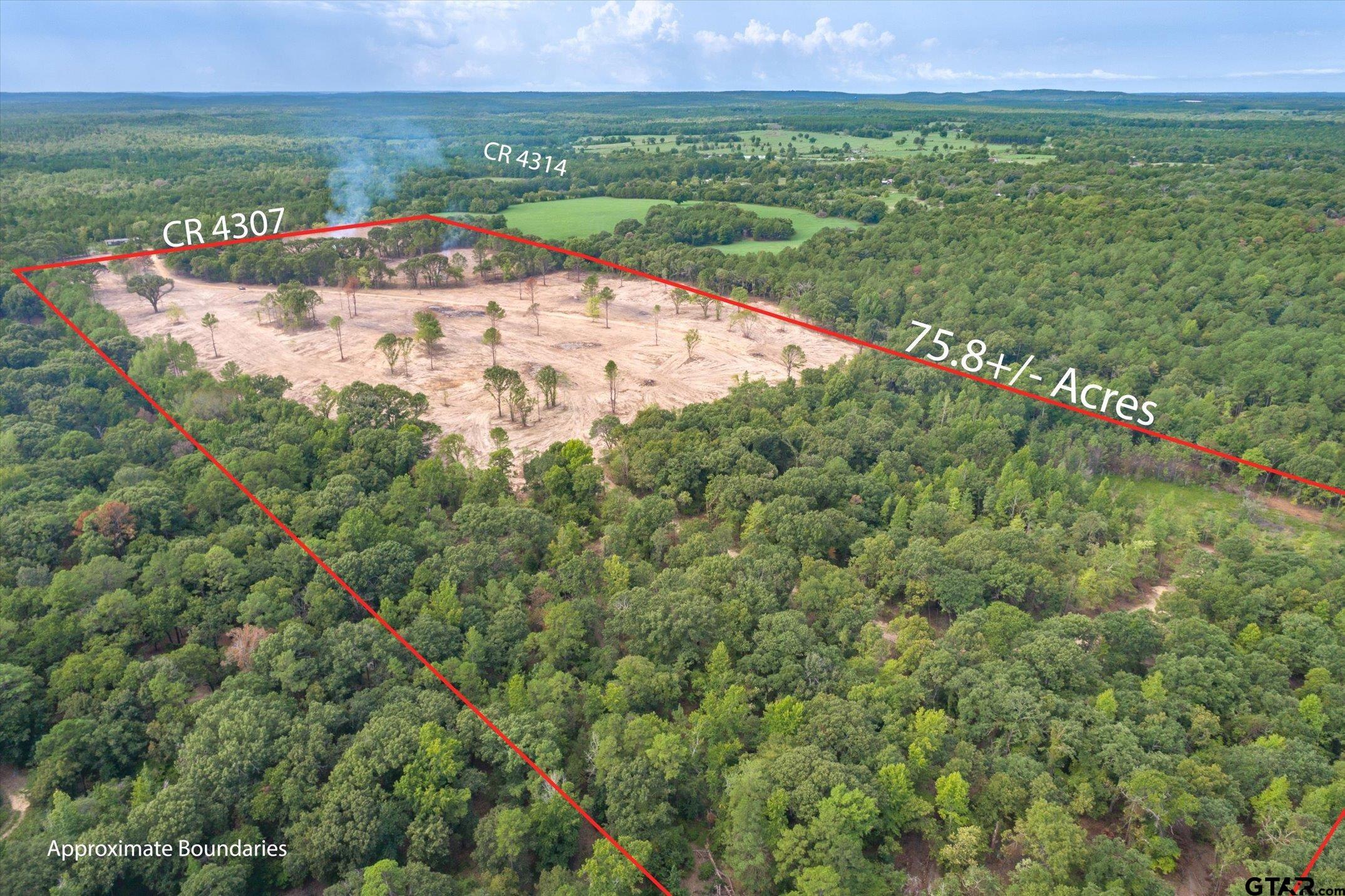 19451 County Road 4307 Larue, TX 75770 - Photo 16 of 22 a view of a city with an outdoor space