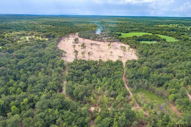 an aerial view of residential houses with outdoor space and trees