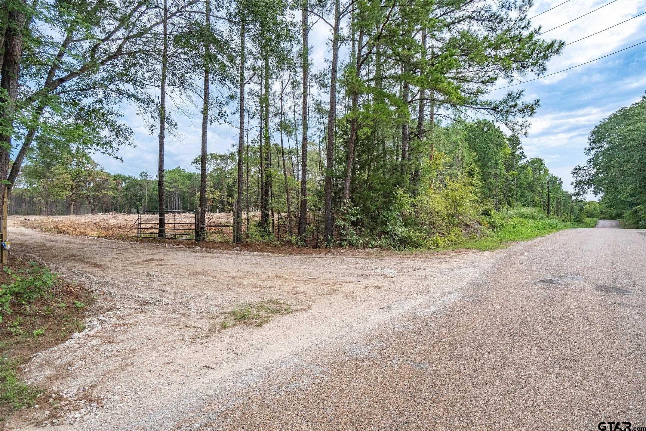19451 County Road 4307 Larue, TX 75770 - Photo 2 of 22 a view of road with trees