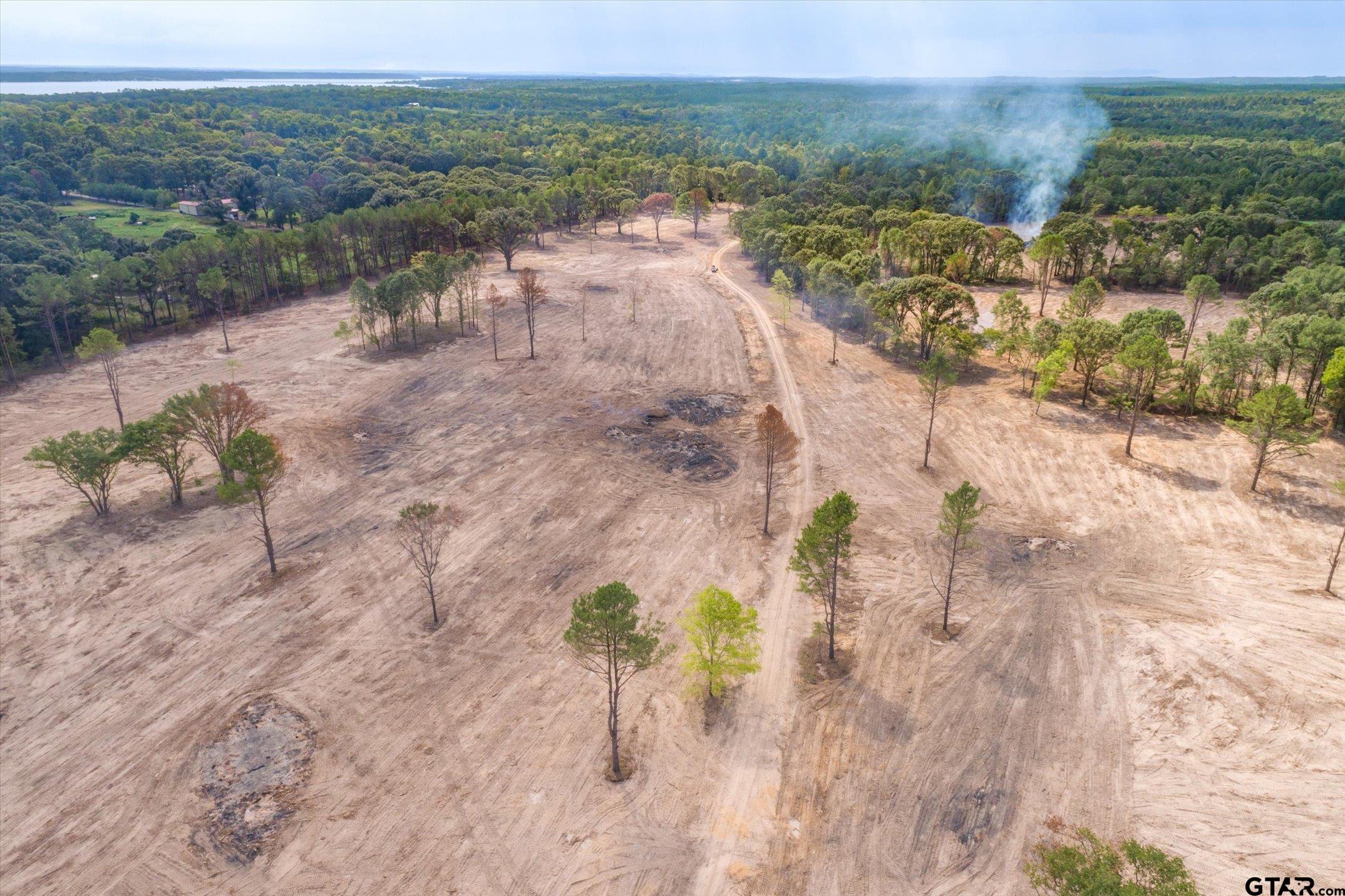 19451 County Road 4307 Larue, TX 75770 - Photo 21 of 22 a view of a lake with beach and mountain view