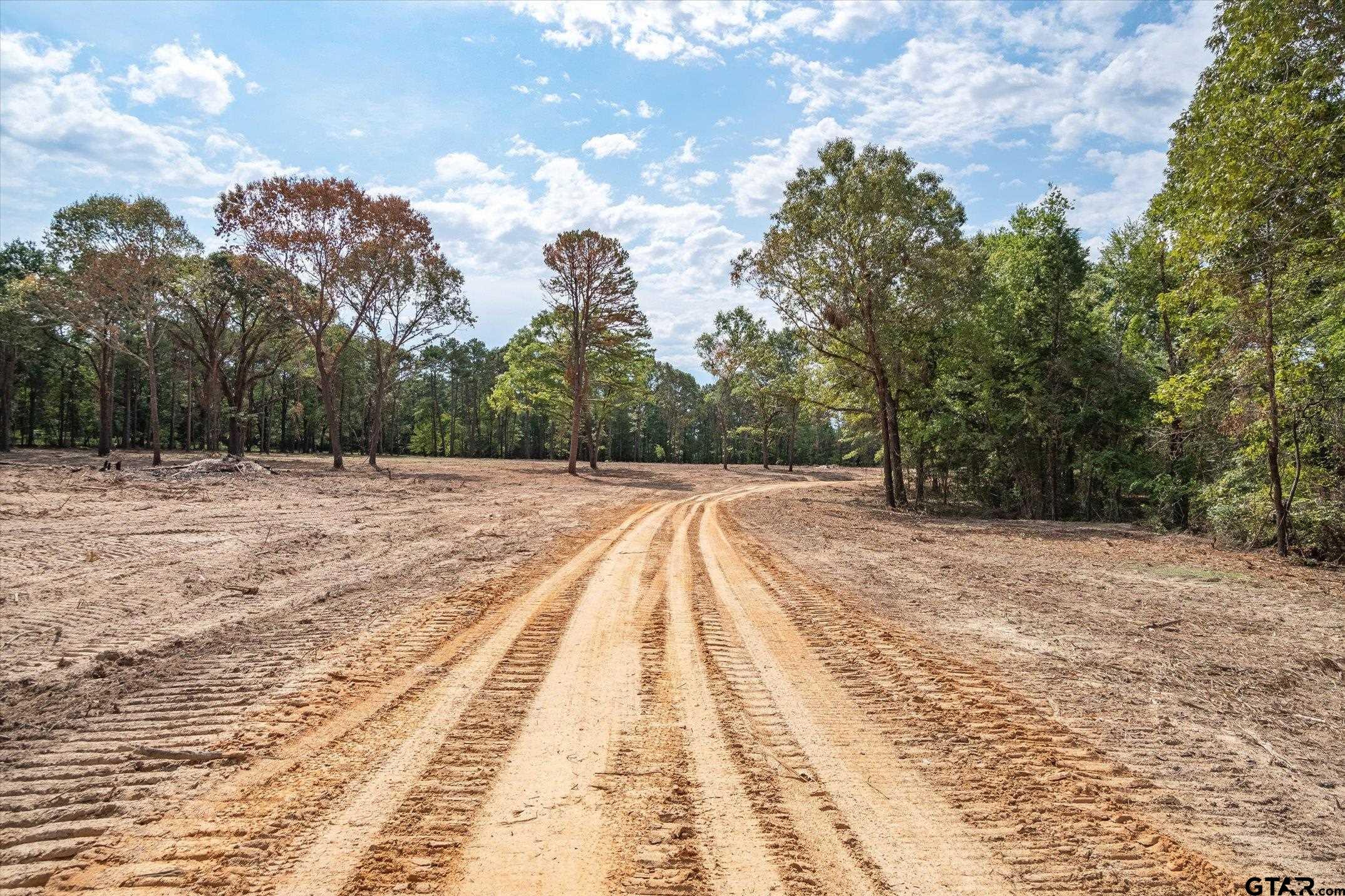 19451 County Road 4307 Larue, TX 75770 - Photo 4 of 22 a view of basketball court