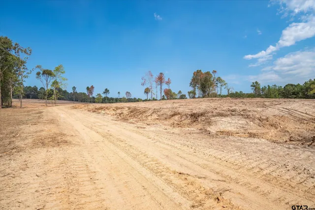 a view of a beach with a yard