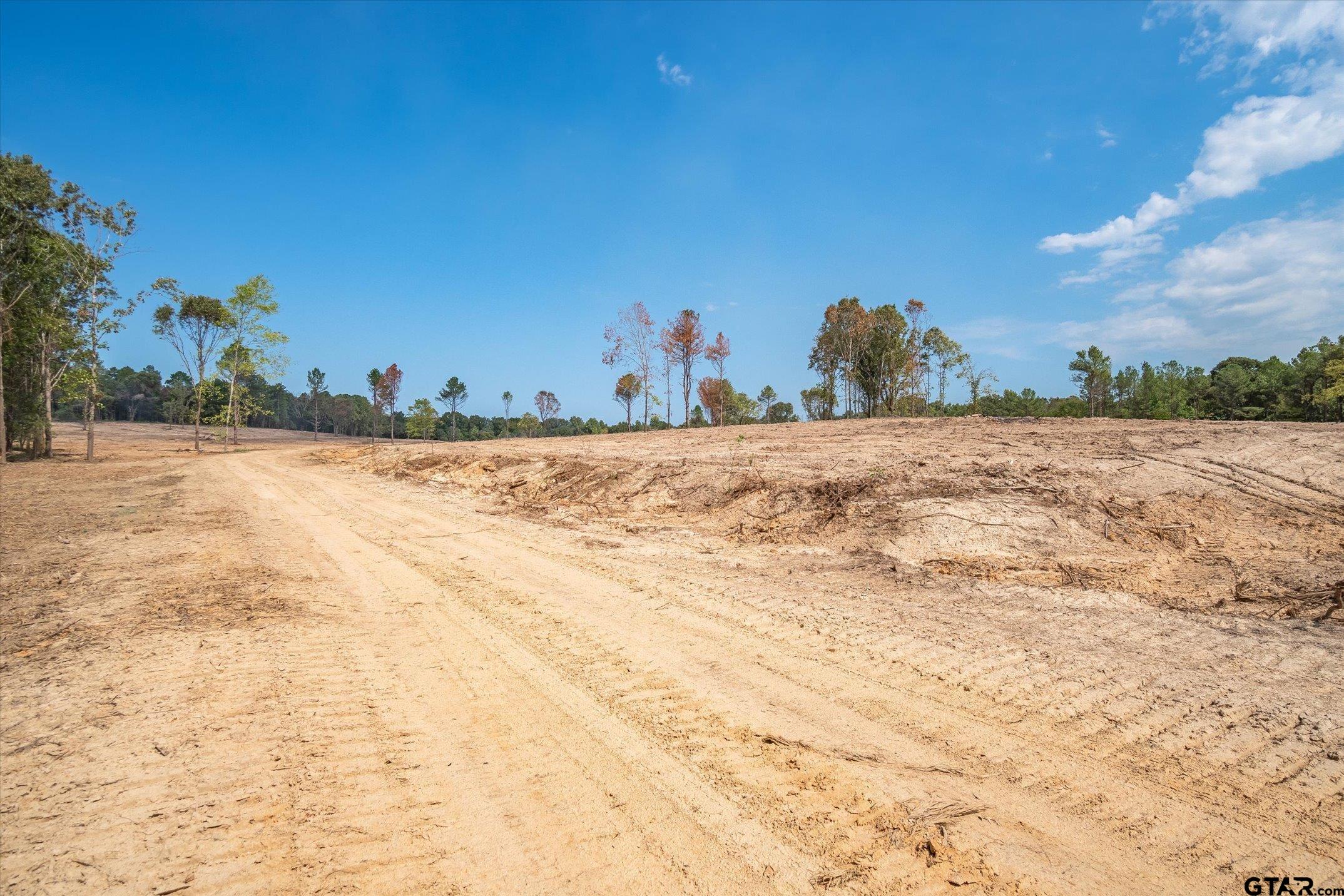 19451 County Road 4307 Larue, TX 75770 - Photo 5 of 22 a view of a beach with a yard