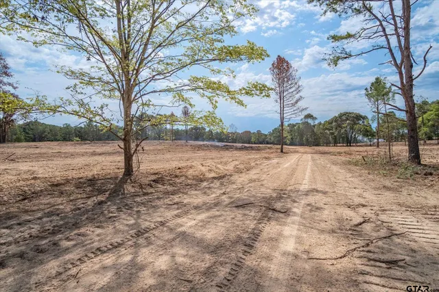 a view of dirt yard with a large tree