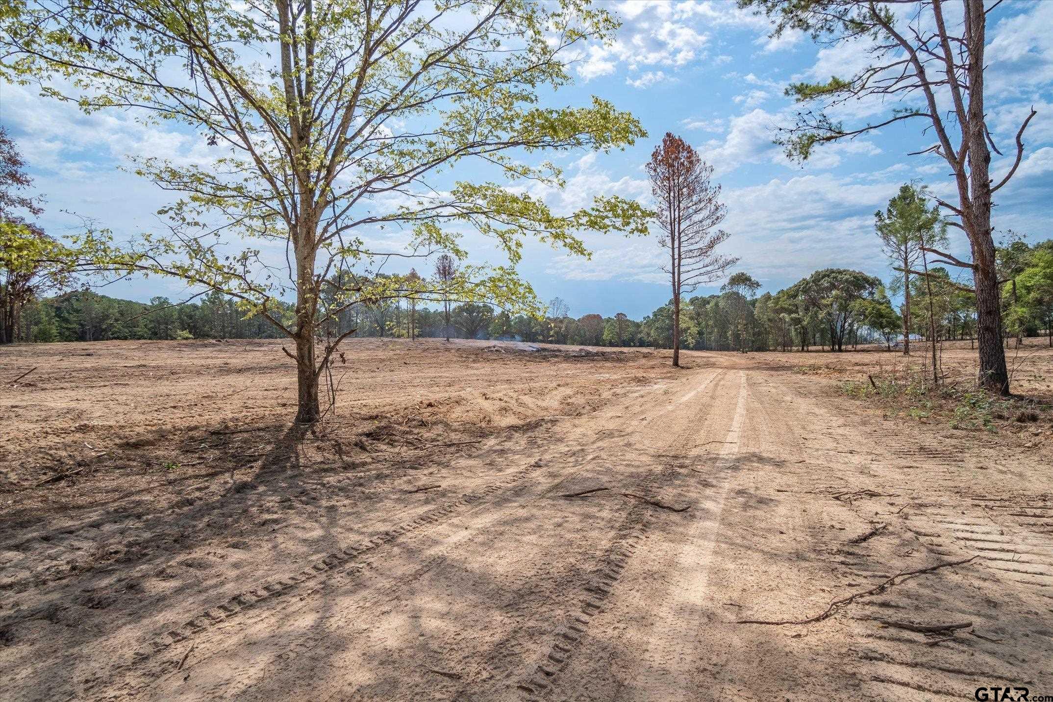 19451 County Road 4307 Larue, TX 75770 - Photo 6 of 22 a view of dirt yard with a large tree