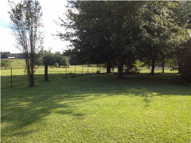 9592 Hillsboro-Ludlow Road Lena, MS 39094 - Photo 14 of 22 More of the back yard