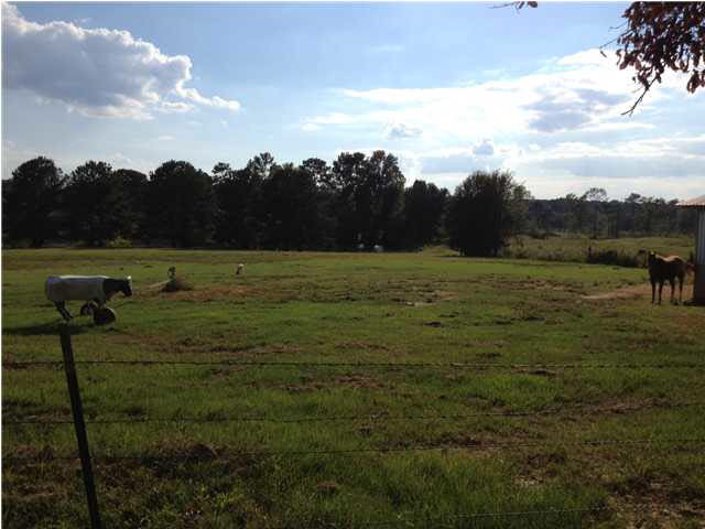 9592 Hillsboro-Ludlow Road Lena, MS 39094 - Photo 18 of 22 Lush green pasture