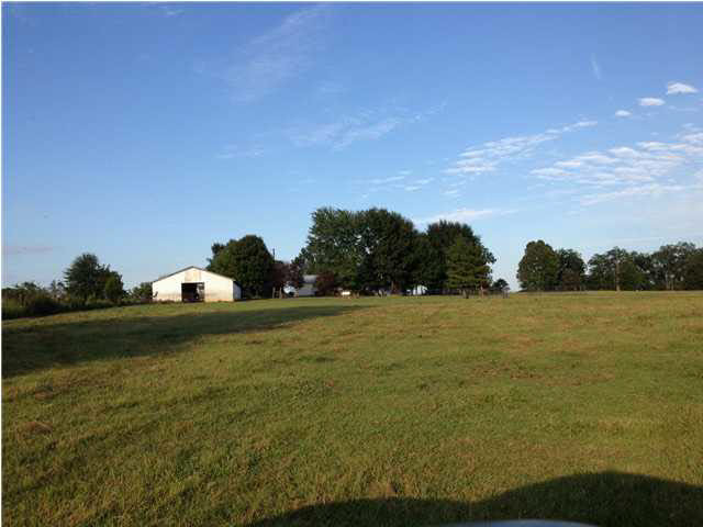 9592 Hillsboro-Ludlow Road Lena, MS 39094 - Photo 19 of 22 Photo 19