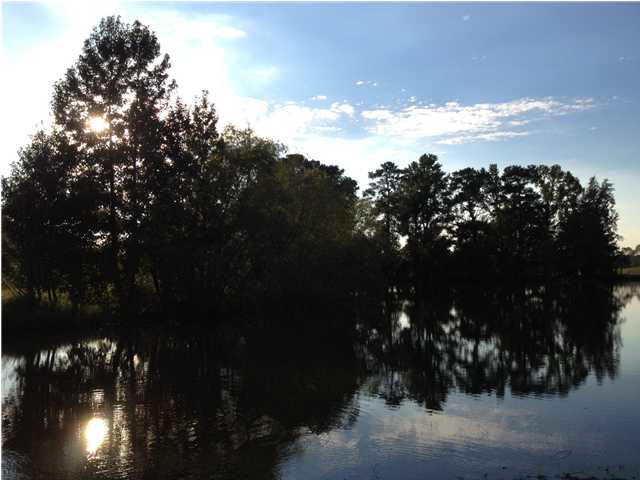 9592 Hillsboro-Ludlow Road Lena, MS 39094 - Photo 21 of 22 Photo 21