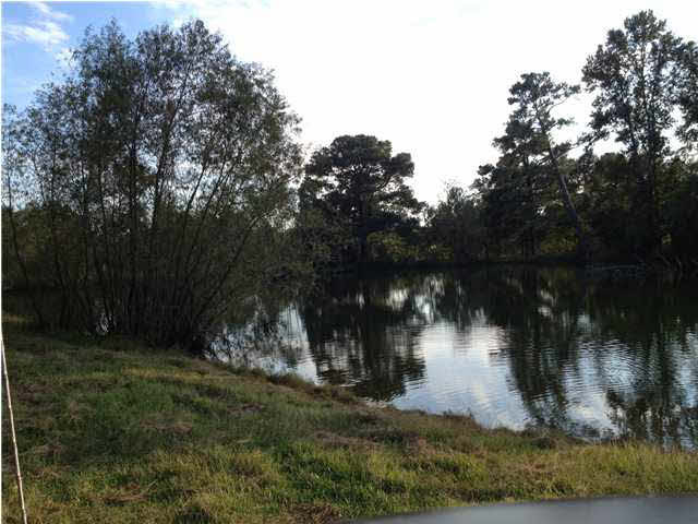 9592 Hillsboro-Ludlow Road Lena, MS 39094 - Photo 22 of 22 Another view of the pond