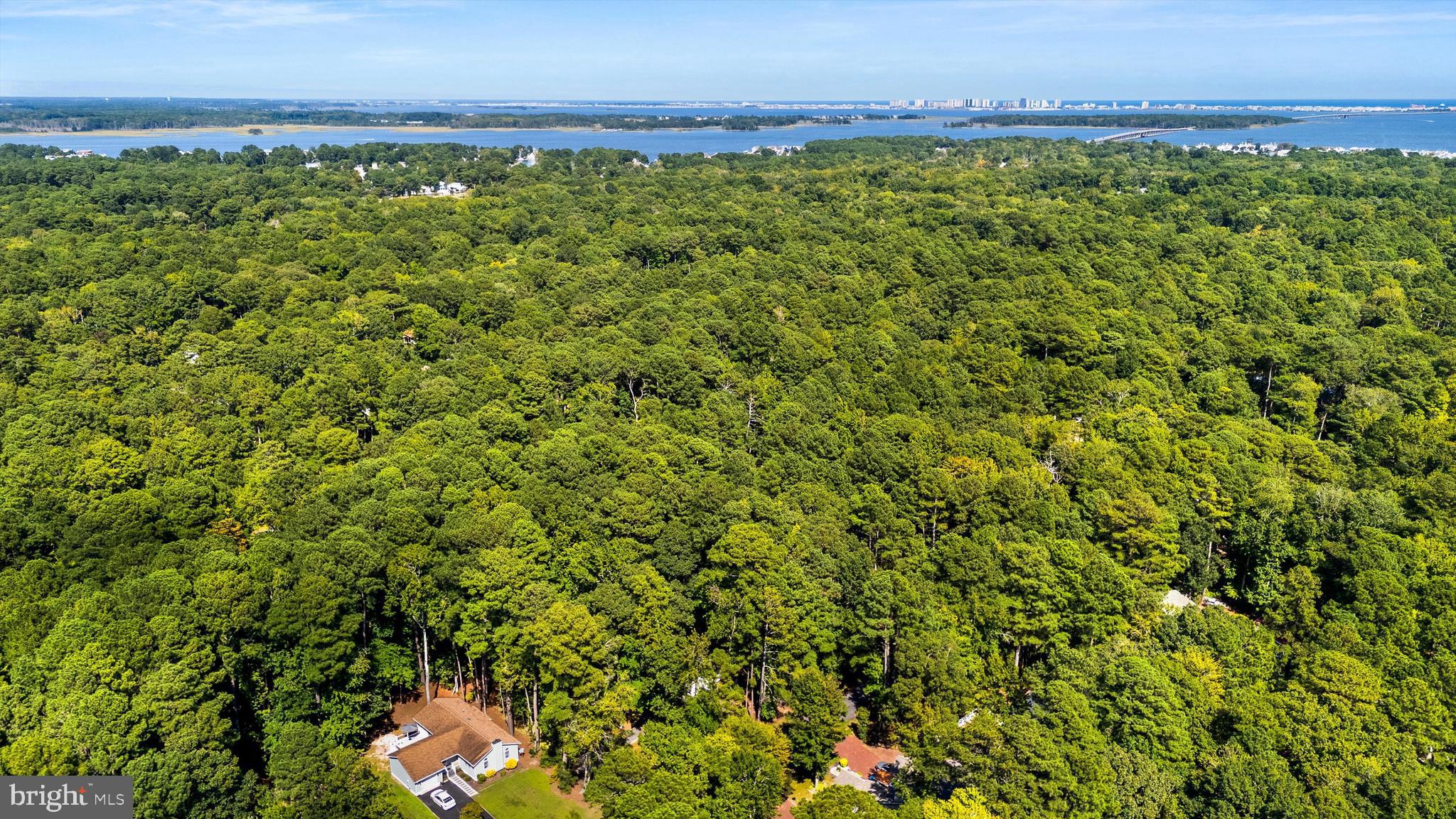 4 Haven End Ocean Pines, MD 21811 - Photo 34 of 37 a view of a yard with an outdoor seating and mountain view
