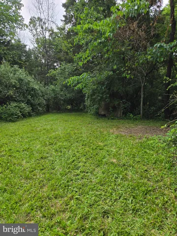 a view of a green yard