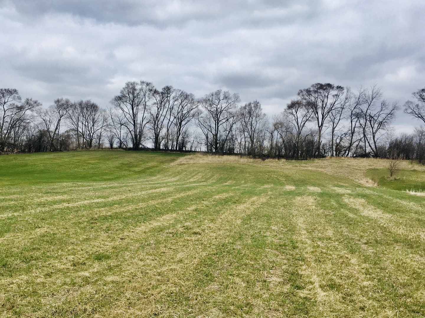 0 Main Street Spring Grove, IL 60081 - Photo 2 of 4