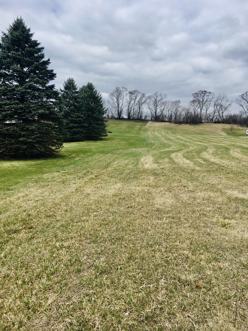 0 Main Street Spring Grove, IL 60081 - Photo 3 of 4