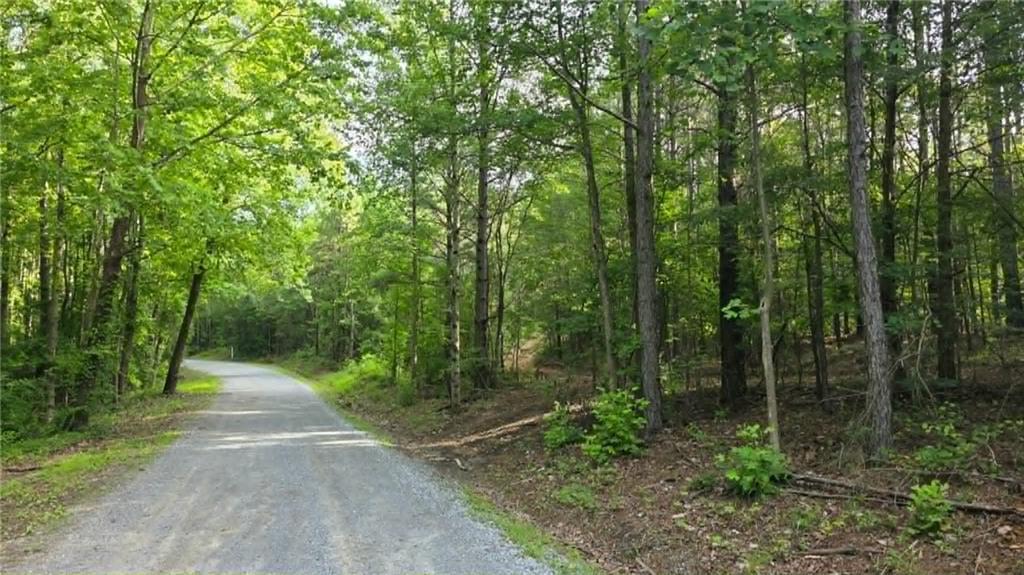 0 Lucas Road Dallas, GA 30132 - Photo 12 of 15